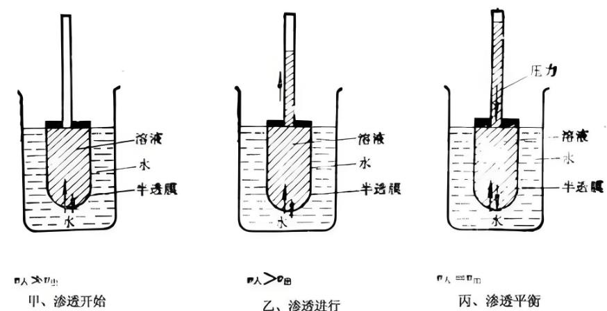 浸與滲：解析二者的差異3.jpg